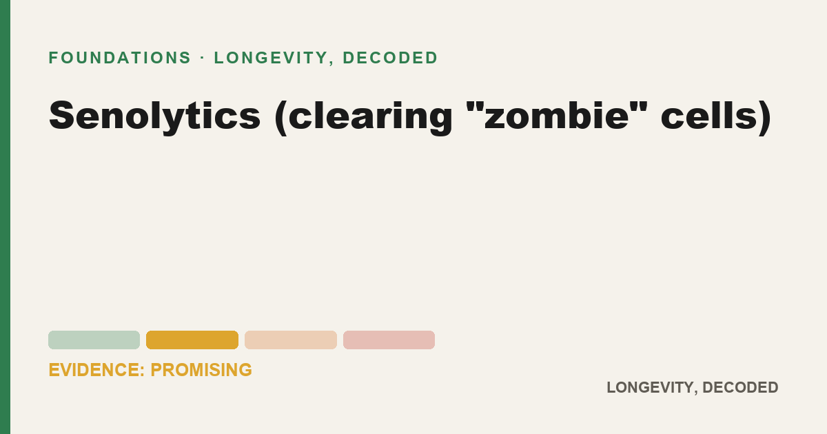 Senolytics (clearing "zombie" cells), evidence-rated longevity guide