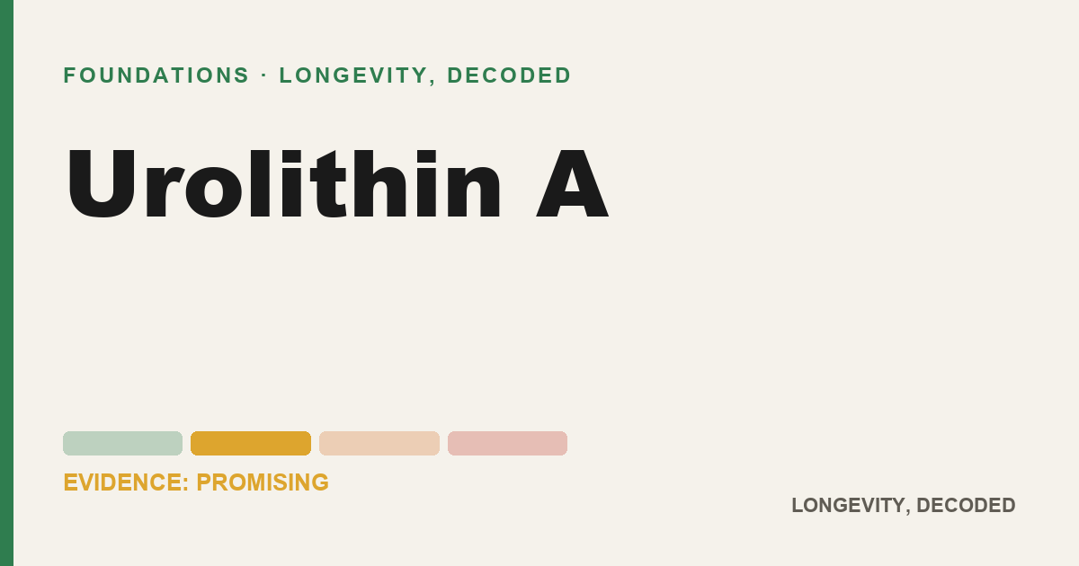Urolithin A, evidence-rated longevity guide