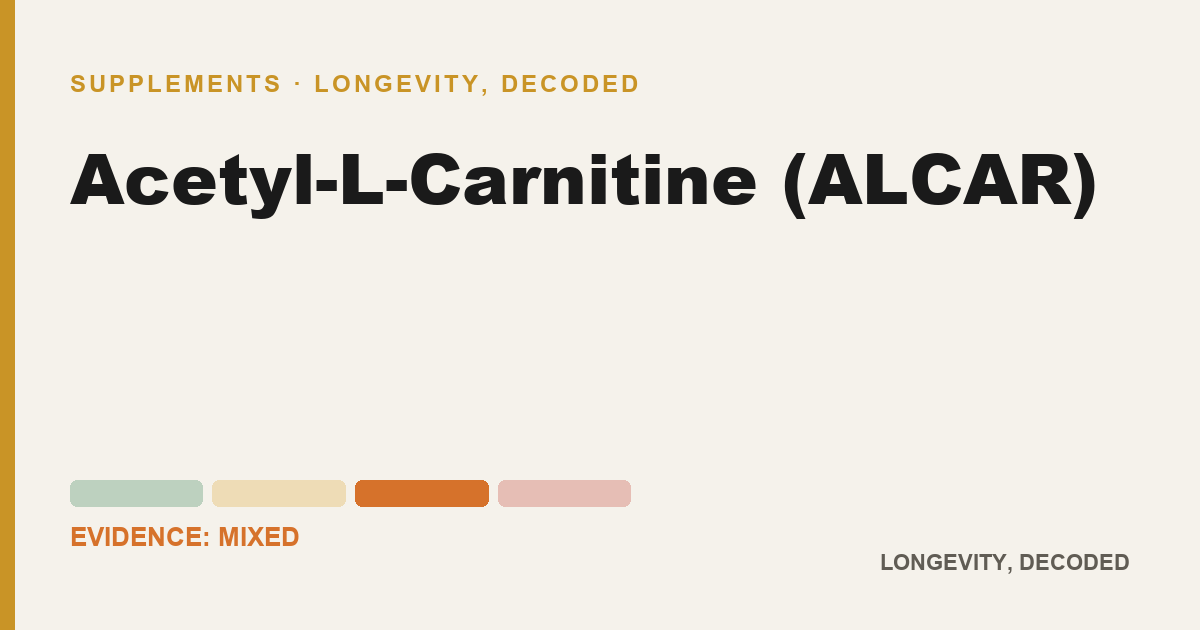 Acetyl-L-Carnitine (ALCAR), evidence-rated longevity guide