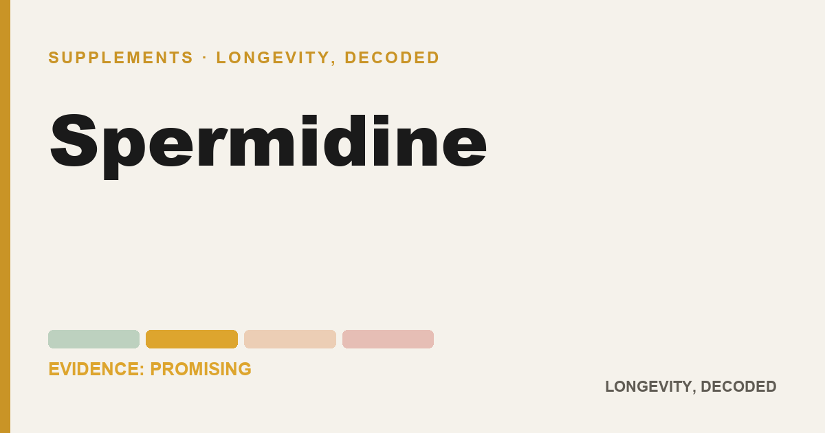 Spermidine, evidence-rated longevity guide
